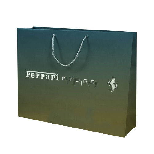 Gleaming Look Printed Laminated Paper Bag