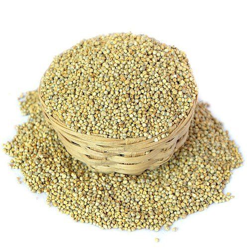 High Grade Fresh Pearl Millet