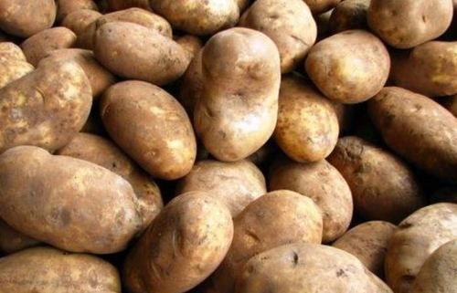 Indian Farm Fresh Potato