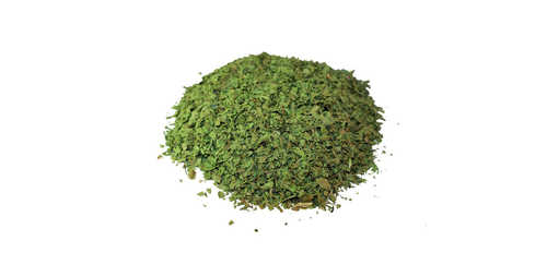 Natural Dried Coriander Leaves