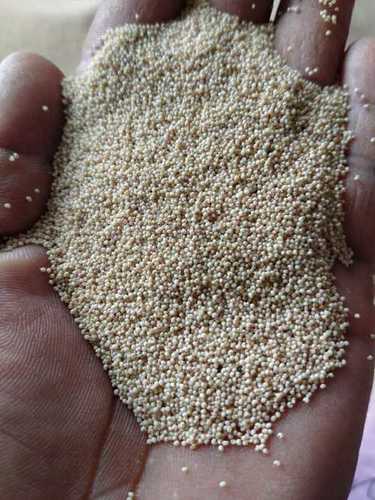 Dried Poppy Seeds Or Raw Khas Seeds Admixture (%): 1%