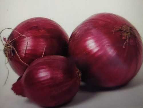 Block A Grade Red Onion