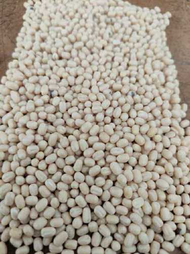 सूखी और साफ की हुई सफेद यूराल दाल की फसल वर्ष: 2020 सप्ताह