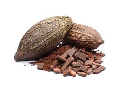 Natural Cocoa Coffee Beans