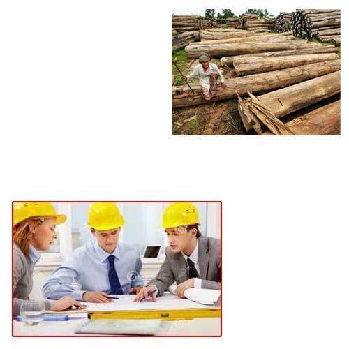 Myanmar Teak Wood Logs For Architects Grade: A-Grade