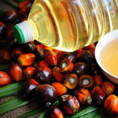 Rbd Palm Olein Oil Purity: 100