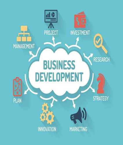 Business Development Service By Systems India