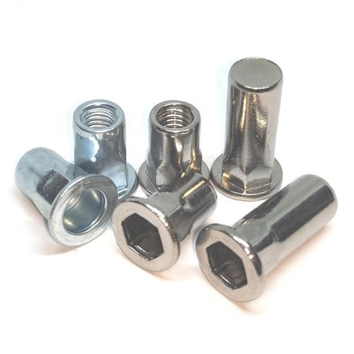 Stainless Steel Rivet Nut Head Size: 5-10Mm