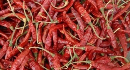 Dried Teja S17 Red Chilli Grade: Food