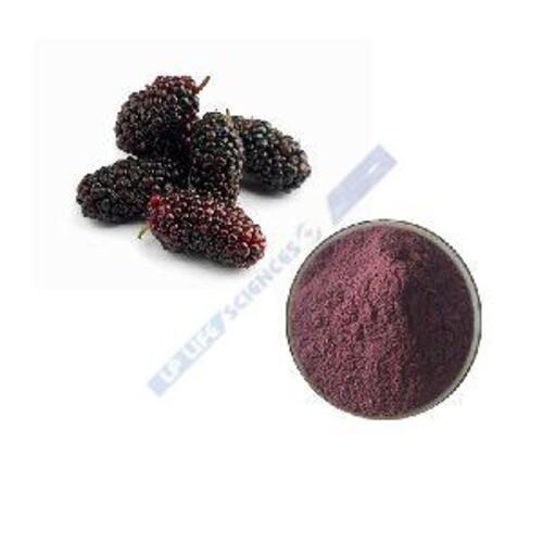 Mulberry Plant Extract Powder