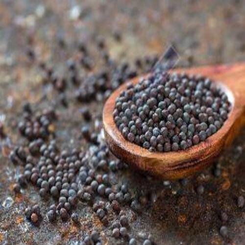 Mustard Seed Plant Extract
