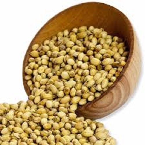 Light Golden Sun Drying Coriander Seeds