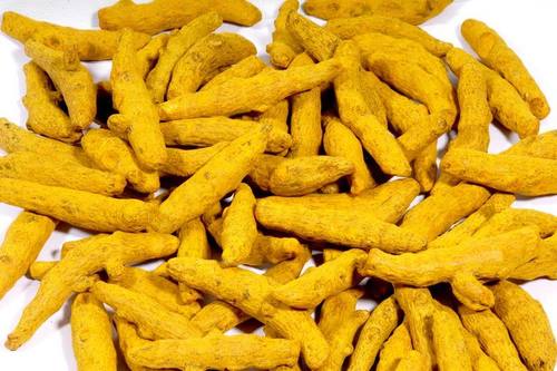 Dried Yellow Spices Turmeric Fingers