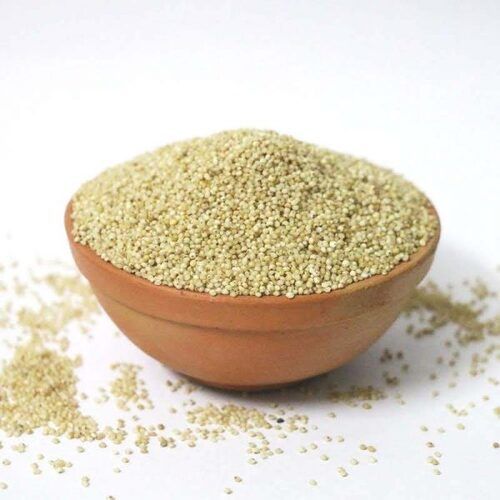 Yellow Dried Barnyard Millet Seeds