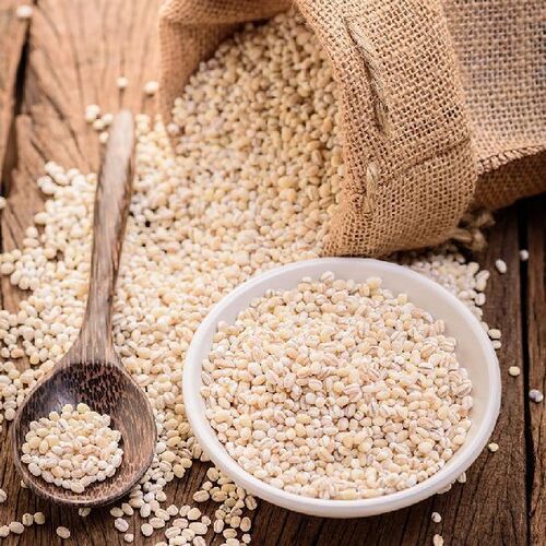 Organic White Barley Grains