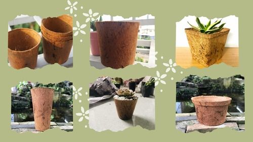 coir pot