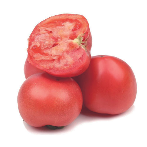Farm Fresh Red Tomato