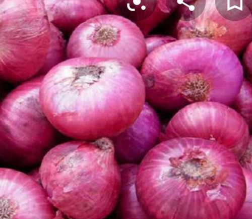 A Grade Fresh Red Onion