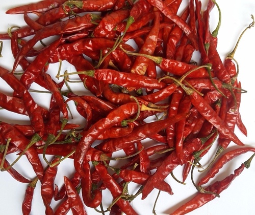 Natural Red Dry Chilli