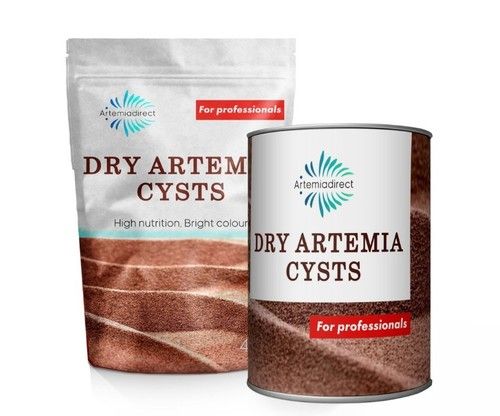 Highly Purity Dry Artemia Cysts