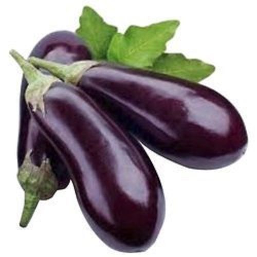 Organic Farm Fresh Brinjal