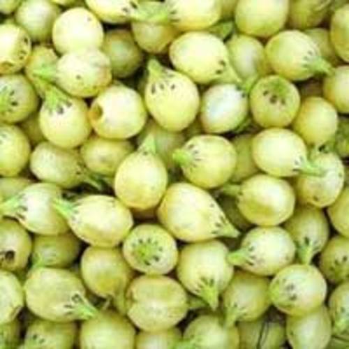 100% Pure and Natural Mahua Oil