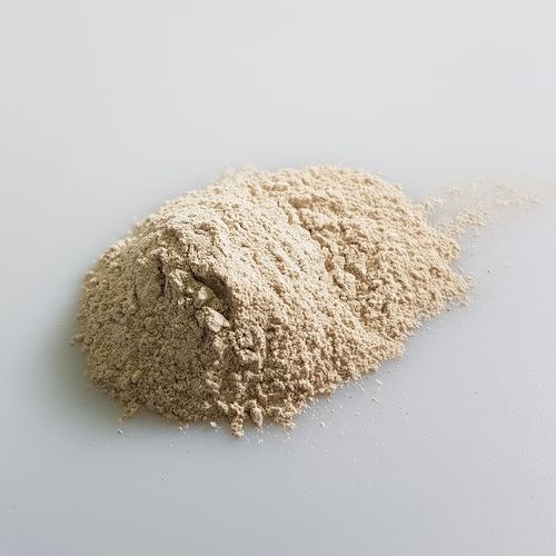 Bentonite Powder with High Plasticity