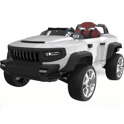 White Colored Car Toy 24 V Size: Various Sizes Are Available