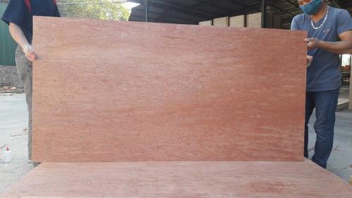 18Mm Bintangor Okoume Face Commercial Plywood Core Material: Eucaly