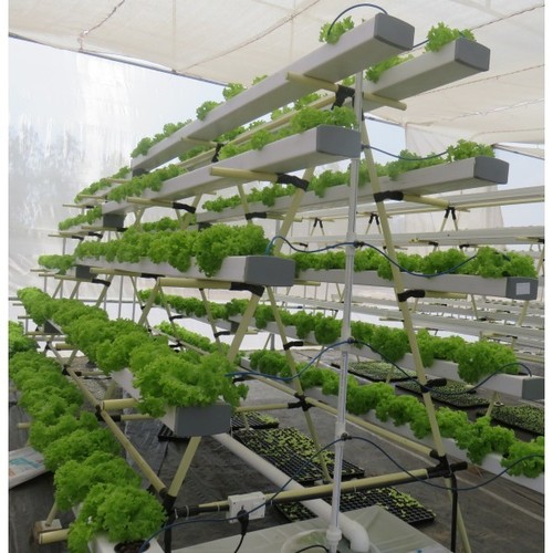Commercial Hydroponics Nft System at Best Price in Ahmedabad, Gujarat