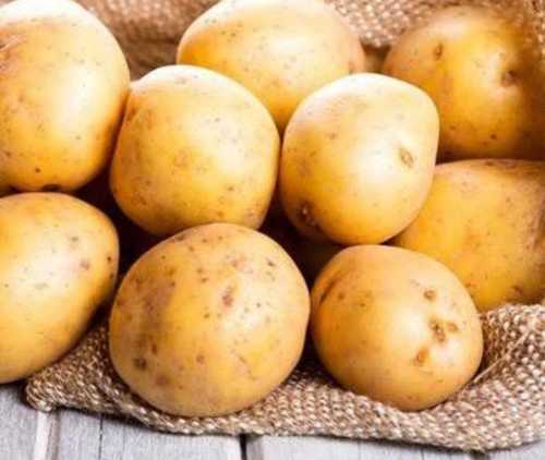 A Grade Fresh Potatoes