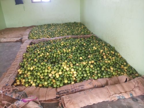 Farm Fresh Green Lemon Preserving Compound: Refrigerate