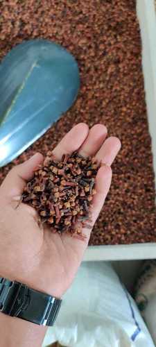 Organic Black Dry Cloves Grade: High