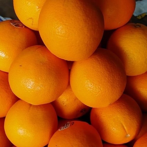 Imported Fresh Oranges