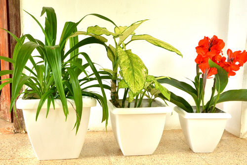 Ceramic Frp Decorative Flower Pots