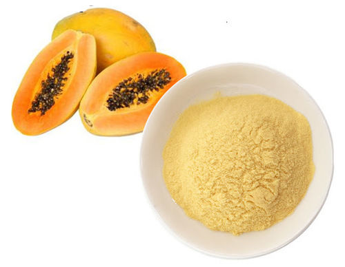 Papaya Fruit Dried Powder