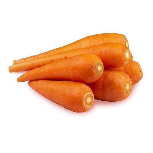 Large Fresh Organic Orange Carrot