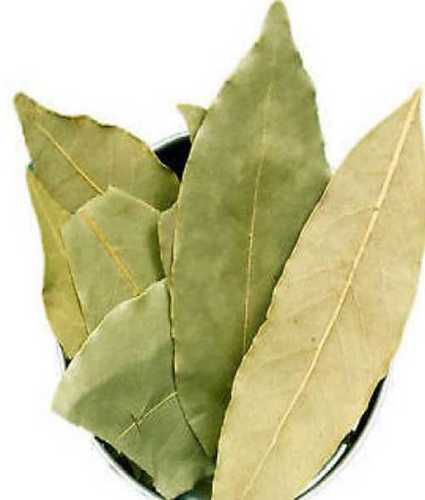 A Grade Dried Bay Leaf