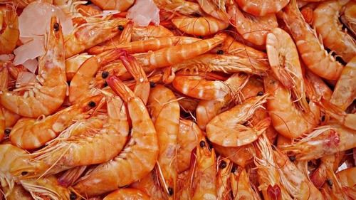 Fresh A Grade Dry Shrimp Fish