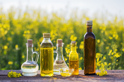 Pure Refined Rapeseed Oil