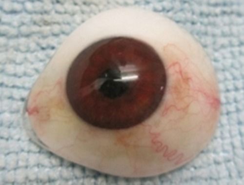 3D Artificial Eye For Medical By Custom Made Artificial Eyes
