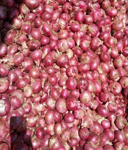 A Grade Fresh Red Onion