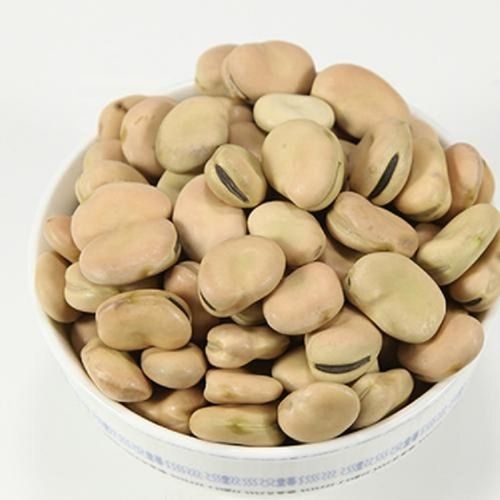 High Quality Broad Bean