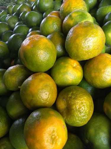 Green And Yellow Fresh Nagpur Mandarin Orange