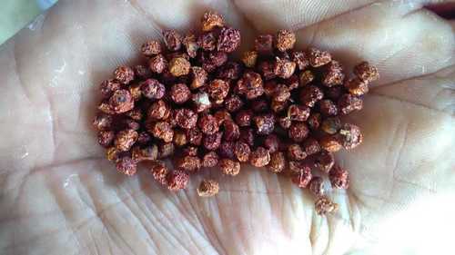 Gloriosa Flower Seeds