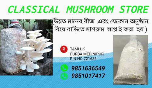 No Preservatives Mushroom Seed