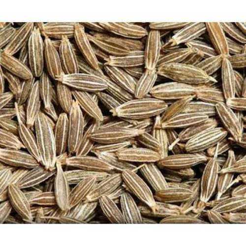 Raw cumin seeds