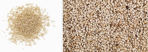 Fresh and Pure Sesame Seeds By Online Agricworld Services