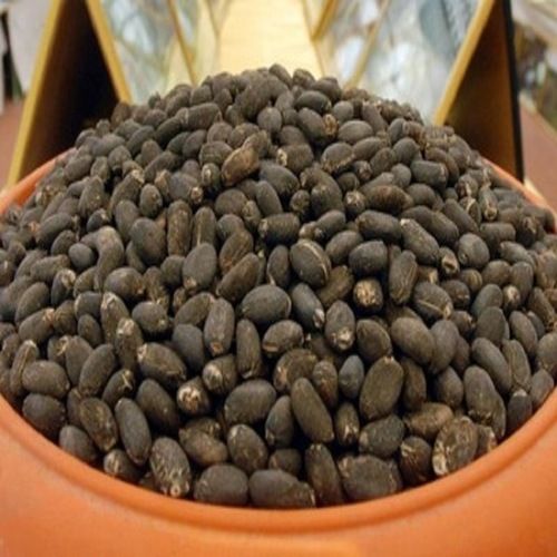 Black Dried Jatropha Seeds Grade: 100%Nature