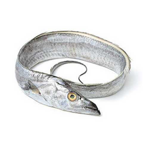 Block Export Quality Frozen Ribbon Fish